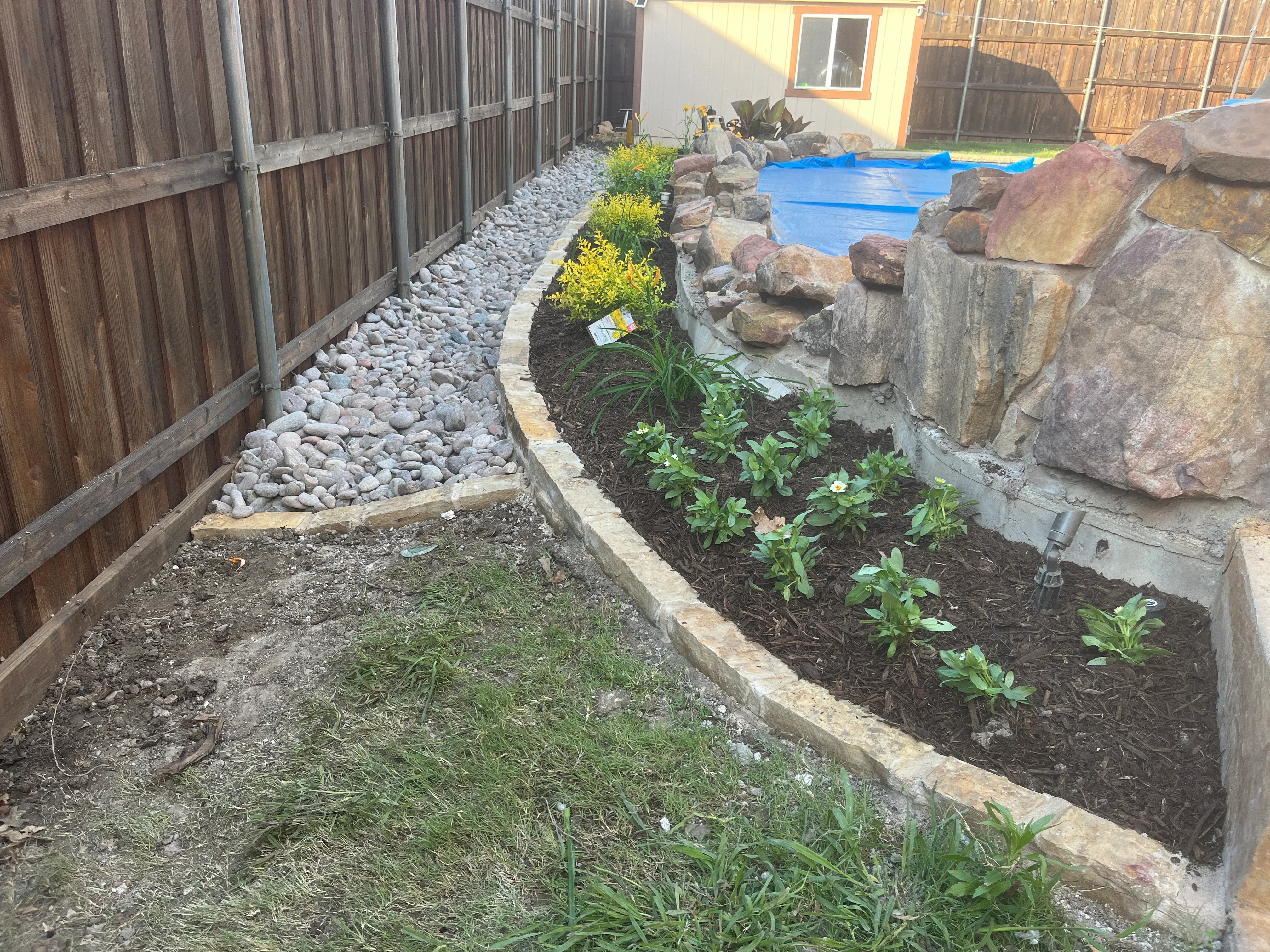 Landscape bed with river rock, dark mulch, yellow shrubs, and concrete edging along wooden fence
